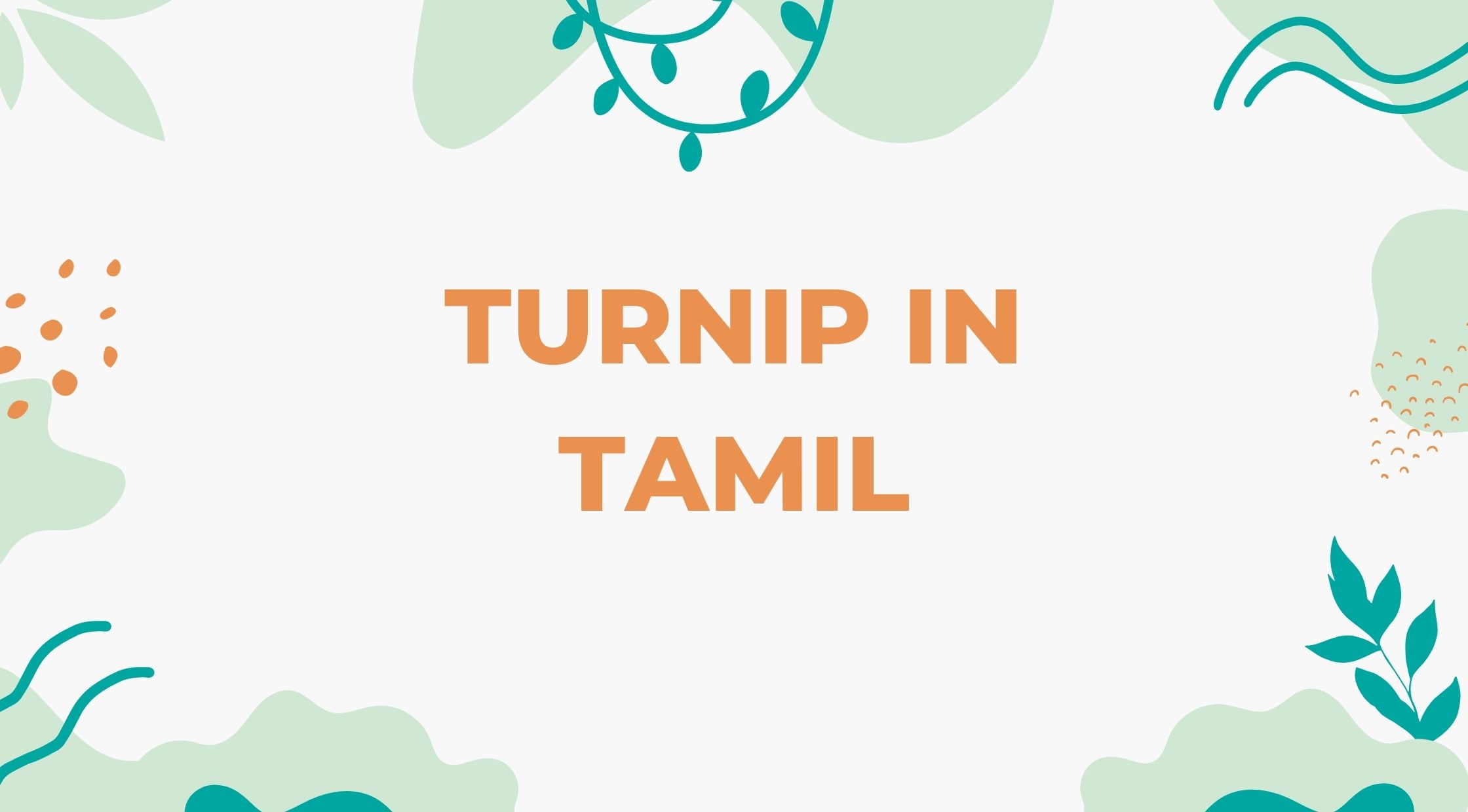 Turnip Meaning in Tamil